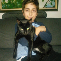 Soke, Kedi  Pufi fotoğrafı