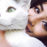 Tekir Kedi, Kedi  Pinki fotoğrafı