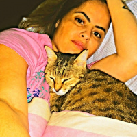 Tekir Kedi, Kedi  şeker fotoğrafı