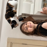 Tekir Kedi, Kedi  Gülbeşeker fotoğrafı