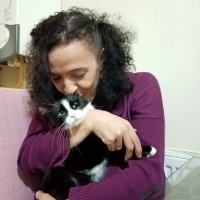 Tekir Kedi, Kedi  Fatoş fotoğrafı