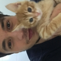 Tekir Kedi, Kedi  Juti fotoğrafı