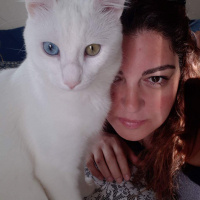 Van Kedisi, Kedi  zagor fotoğrafı