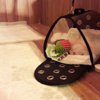 Maltese, Köpek  Pati fotoğrafı