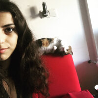 Tekir Kedi, Kedi  Sarıkız fotoğrafı