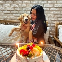 Golden Retriever, Köpek  Lora fotoğrafı