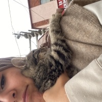 Tekir Kedi, Kedi  Çakır fotoğrafı
