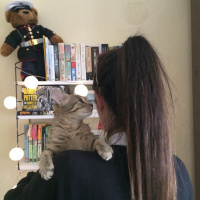 Tekir Kedi, Kedi  Çaki fotoğrafı