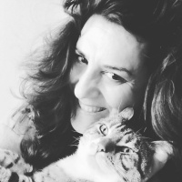 Tekir Kedi, Kedi  Cancan fotoğrafı