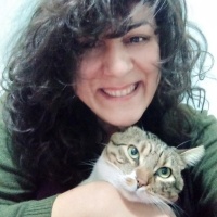 Tekir Kedi, Kedi  Cancan fotoğrafı