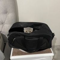 Scottish Fold, Kedi  Miya fotoğrafı