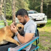 Belçika Malinois, Köpek  Nefes fotoğrafı