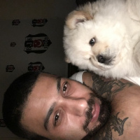 Chow Chow (çin Aslanı), Köpek  Poncik fotoğrafı