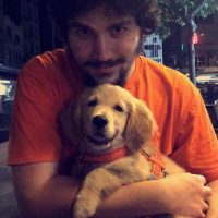 Golden Retriever, Köpek  Lavash fotoğrafı
