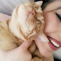 Tekir Kedi, Kedi  Kader fotoğrafı
