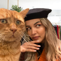 Sarman, Kedi  Simbat fotoğrafı