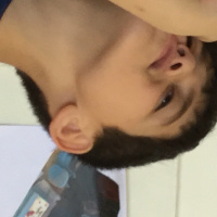 Tekir Kedi, Kedi  Taylan fotoğrafı