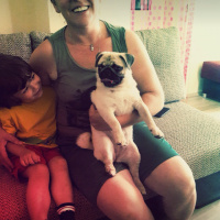 Pug, Köpek  tarçın fotoğrafı