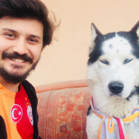 Tekir Kedi, Kedi  Graham fotoğrafı