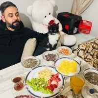 Tuxedo (Smokin) Kedi, Kedi  Luna fotoğrafı