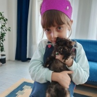 Mavi Rus, Kedi  Boncuk fotoğrafı