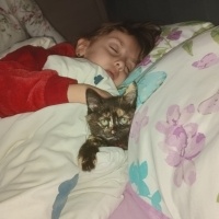 Mavi Rus, Kedi  Boncuk fotoğrafı