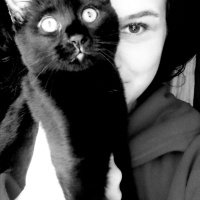 Sarman, Kedi  limon fotoğrafı