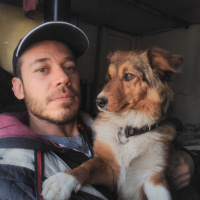 Alman Av Terrieri, Köpek  Bıdık fotoğrafı