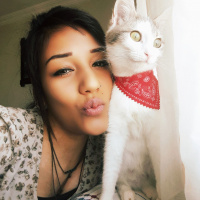 Tekir Kedi, Kedi  Leya fotoğrafı