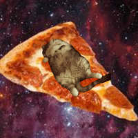 Chinchilla, Kedi  Funky fotoğrafı