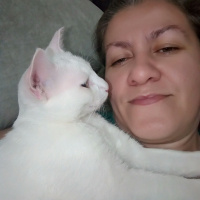 Van Kedisi, Kedi  Leo fotoğrafı