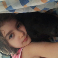 Labrador Retriever, Köpek  gece fotoğrafı