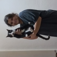 Tuxedo (Smokin) Kedi, Kedi  Gece fotoğrafı