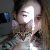 Tekir Kedi, Kedi  Gece fotoğrafı
