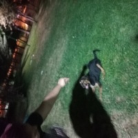 Rottweiler, Köpek  Lilith fotoğrafı