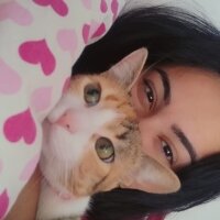 Tekir Kedi, Kedi  VENÜS fotoğrafı