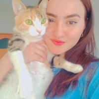 Tekir Kedi, Kedi  VENÜS fotoğrafı