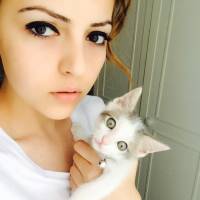 Tekir Kedi, Kedi  kivi fotoğrafı