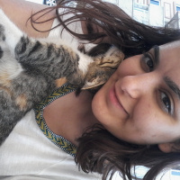 Tekir Kedi, Kedi  Minnoş fotoğrafı
