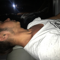 Afgan Tazısı, Köpek  Seko fotoğrafı