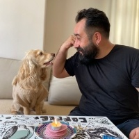 Amerikan Cocker Spaniel, Köpek  Sushi fotoğrafı
