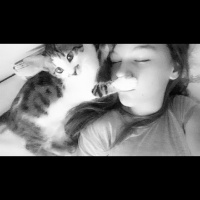 Tekir Kedi, Kedi  Prenses lily fotoğrafı
