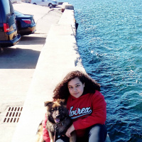 Alman Çoban Köpeği, Köpek  Zeus fotoğrafı