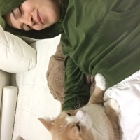 Tekir Kedi, Kedi  Sütlaç fotoğrafı