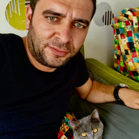 British Shorthair, Kedi  Gofret fotoğrafı