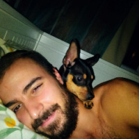 Minyatür Pinscher, Köpek  Ciko fotoğrafı