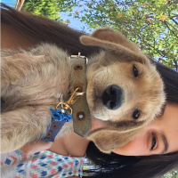 Sokö (Sokak Köpeği), Köpek  Yavru İbiş'ime acil yuva arıyoruz. fotoğrafı