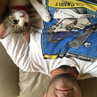 Tekir Kedi, Kedi  Mişa fotoğrafı