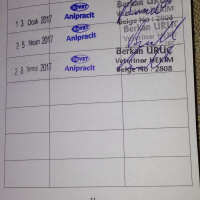 Soke, Kedi  Pati fotoğrafı