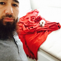 Siyam Kedisi, Kedi  Moniş fotoğrafı